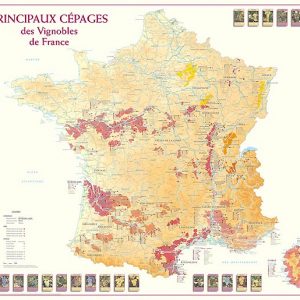 Carte des vins de France / Benoit France